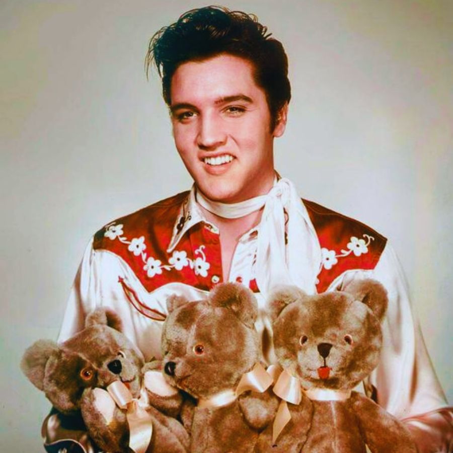 Teddy Bear (Let Me Be Your) – Elvis Presley